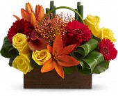 Teleflora's Bamboo Getaway in Hartley IA, Jackie's Floral Center