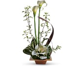 Teleflora's Grand Gesture in Hartley, Iowa, Jackie's Floral Center