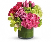 New Sensations in Hartley IA, Jackie's Floral Center