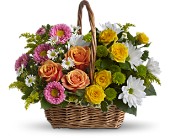 Sweet Tranquility Basket in Hartley, Iowa, Jackie's Floral Center